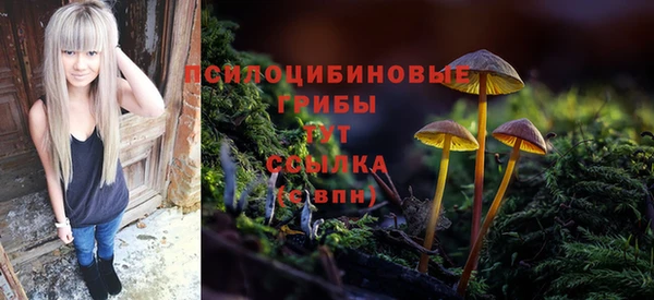 гидропоника Бежецк