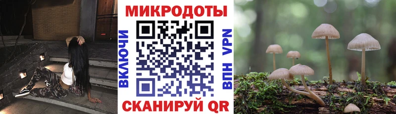 Псилоцибиновые грибы GOLDEN TEACHER Амурск